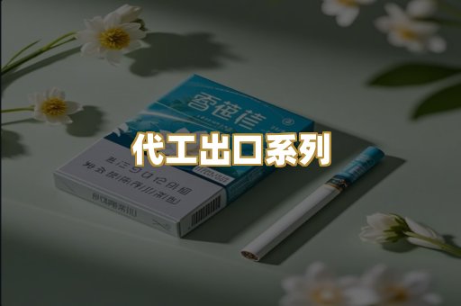 代工出口系列